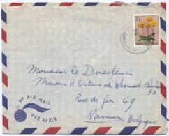 Congo Belge : 318 Sur Lettre Kikwit 1954 - Cartas & Documentos