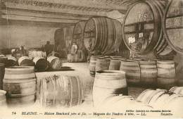 Beaune : Maison Bouchard Interieur , Viticulture  Vin - Beaune