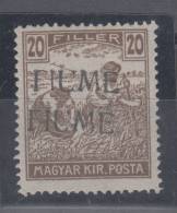 Italy Hungary Fiume 20 Filler Double Overprint Mi#14II 1918 MH * - Fiume & Kupa