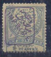 Turkey Ottoman  Mi#66a 1891 USED - Gebruikt