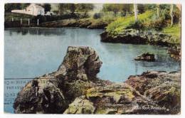 AMERICA ANTILLES BERMUDA LION ROCK OLD POSTCARD 1934. - Bermuda