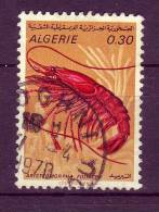 Algérie YV 510 O 1970 Crevette - Crustacés