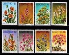 LESOTHO 1978 MNH Stamps Flowers 246-253 - Lesotho (1966-...)