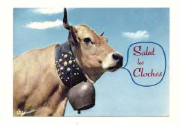 Cp, Animaux, Vache, Salut Les Cloches, écrite - Vacas