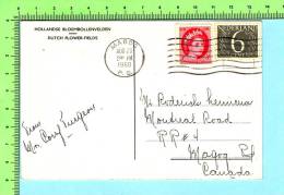 Timbres Du Néderland Et Du Canada Avec La Même Oblitération Canadienne  1960 Sur Carte Postale - 1953-.... Règne D'Elizabeth II