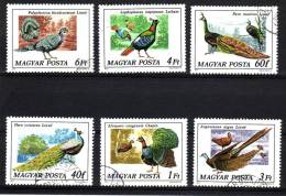 Hongrie YV 2550/5 O 1977 Oiseaux - Gallinacées & Faisans