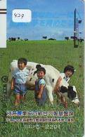 Télécarte JAPON * VACHE (427) FRONTBAR * COW * KOE * BULL * TAUREAU * KUH * PHONECARD JAPAN * TK * VACA * TAURUS - Cows