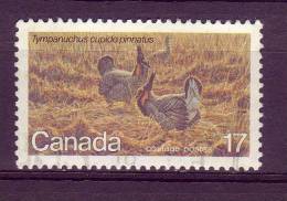 Canada  YV 733 O 1980 Cupidon - Gallinacées & Faisans