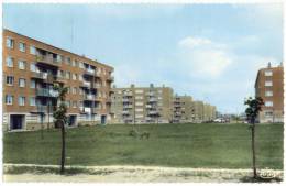 DENAIN - Un Coin Du Quartier De La Croix Sainte-Marie - Denain