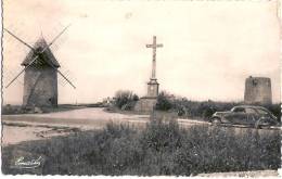 85 LES HERBIERS MOULINS AU MONT DES ALOUETTES - Les Herbiers