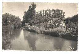 Charny (89) : La Villa Sur L'Ile Vue Du Pont Env 1950. - Charny