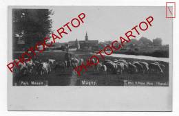 MAGNY-Pays Messin-BERGER-Moutons-Carte Photo-Type-Metier-Agriculture- - Unclassified