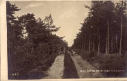 Rijwielpad Naar Lage-Vuursche - Andere & Zonder Classificatie