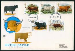 Großbritannien  1984  Britische Rinderrassen  (1 FDC  Kpl. )  Mi: 979-83 (5,50 EUR) - 1981-1990 Em. Décimales