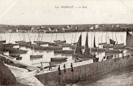 MORGAT (29) Port Bateaux De Peche Jolie Vue - Morgat