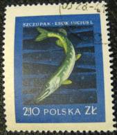 Poland 1958 Pike Fish 2.10zl - Used - Cartas & Documentos