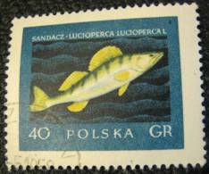 Poland 1958 Perch Fish 40g - Used - Lettres & Documents