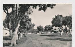 GUINEE FRANCAISE PITA LE CENTRE ADMINISTRATIFF, EX Cond. REAL PHOTO PC Unused 1960s - Guinée