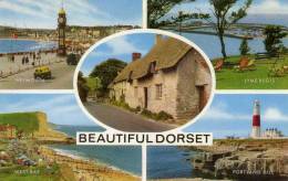 Beautiful Dorcet - Weymouth - West Bay - Lyme Regis - Portland Bill - Phare - Weymouth