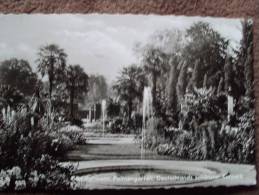 BAD PYRMONT, PALMENGARTEN, DEUTSCHLANDS SCHONSTER KURPARK - Bad Pyrmont