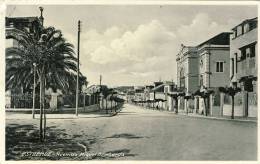 Estremoz Avenida Miguel Bombarda 2 Scans Portugal - Evora