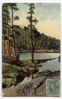 D10152 - In The Black Hills Near Sturgis - Altri & Non Classificati