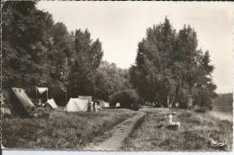 Cpsm, Jargeau (Loiret), Le Camping, Animée - Jargeau