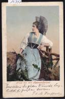 Costumes Suisses : Gruss Aus Dem Appenzellerland Tracht Um. 1904 ; Dos Renforcé (scan) (10´397) - Appenzell