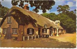 CPSM NEW FOREST (Angleterre-Hampshire) - Cat And Fiddle Inn - Autres & Non Classés