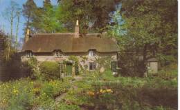 CPSM BOCKHAMPTON (Angleterre-Dorset) - Thomas Hardy' Birthplace Higher - Andere & Zonder Classificatie