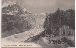 1092 CHAMONIX  GROTTE DU GLACIER DES BOSSONS - Chamonix-Mont-Blanc