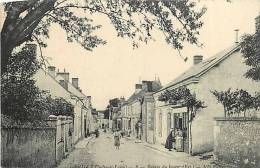 Nov12b 1868 : Genillé  -  Entrée Du Bourg - Genillé