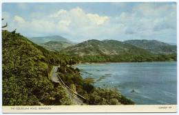 BARMOUTH : THE DOLGELLAU ROAD - Merionethshire