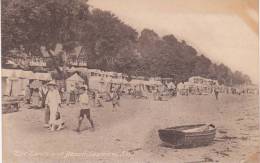 Isle Of Wight The Tents And Beach Seaview - Andere & Zonder Classificatie