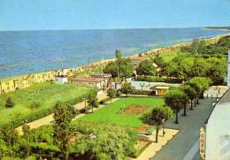 00571 Blick Auf Den Strand Vom Ostseebad ZINNOWITZ Auf Usedom - Usedom