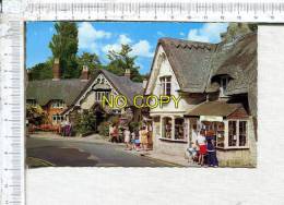 THE ISLE OF WIGHT  -  SHANKLIN - The Old Village - Other & Unclassified