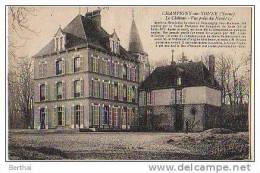89 CHAMPIGNY SUR YONNE - Le Chateau - Vue Prise Du Nord (2) - Champigny
