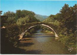 SAINT-ETIENNE-DE-BAÏGORRY - Le Vieux Pont Romain - Saint Etienne De Baigorry