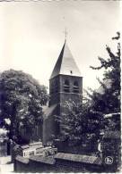 Langdorp Kerk Sint-Pieters - Aarschot