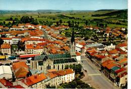 CHATEAU SALINS : Vue Générale - Chateau Salins