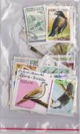 Lot Varié De + De 230 Timbres Du Monde Différents Thème OISEAUX - BIRDS - PAJAROS - VÖGELS - Lots & Kiloware (mixtures) - Max. 999 Stamps