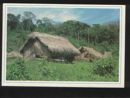Malaysia Old Post Card 1990 Attap Thatehed Aboriginal Huts In Jungle Pahang - Maleisië