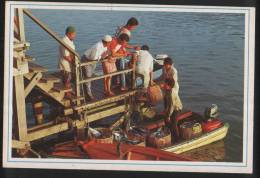 Malaysia Old Post Card 1990 Fisherman Unloading Their Catch At Kuala Dungun Terengganu - Maleisië