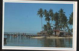 Malaysia Old Post Card 1990 Fishing Village Kuala Terengganu With Tall Coconuts Palmsest Highway, Gerik, Perak. - Maleisië