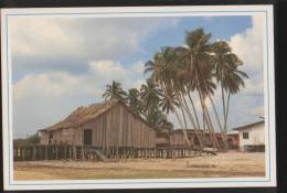 Malaysia Old Post Card 1990 Fisherman’s Kampung House With Plateform For Drying Salted Fish At Kuala Dungun Tereng - Malaysia