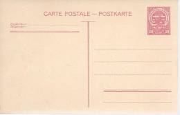 Entier Postal 30c Rouge. Neuf Superbe. Lion Couronne Armoirie - Ganzsachen