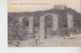 Meyrargues Ruines Du Canal Romain Et Château D'Albertas Carte Peu Courante - Meyrargues