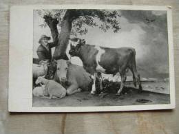 Museum Mauritshuis -s1Gravenhage - Paulus Potter De Jonge Stier - Bull Torro  Taureau   D87664 - Tauri