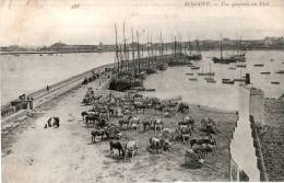 29....FINISTERE.....ROSCOFF......VUE DU PORT.......ECRIT E . . . ‹(•¿• )› - Roscoff