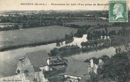 49 - CPA Seiches - Panorama Du Loir - Seiches Sur Le Loir